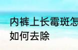 内裤上长霉斑怎么去除 内裤上长霉斑如何去除