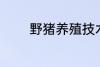 野猪养殖技术 野猪养殖技巧