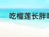 吃榴莲长胖吗 吃榴莲会不会长胖