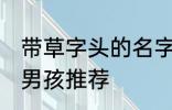 带草字头的名字男孩 带草字头的名字男孩推荐