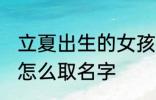 立夏出生的女孩名字 立夏出生的女孩怎么取名字