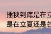插秧到底是在立夏还是芒种 到底插秧是在立夏还是芒种