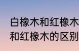 白橡木和红橡木的区别是什么 白橡木和红橡木的区别介绍