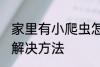 家里有小爬虫怎么办 家里有小爬虫的解决方法