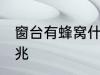 窗台有蜂窝什么兆头 窗台有蜂窝的征兆