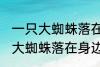 一只大蜘蛛落在身边有什么兆头 一只大蜘蛛落在身边的兆头有什么