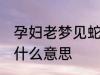 孕妇老梦见蛇怎么回事 孕妇梦见蛇是什么意思