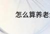 怎么算养老金 如何算养老金