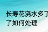 长寿花浇水多了怎么办 长寿花浇水多了如何处理