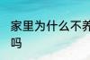 家里为什么不养扶桑 家里可以养扶桑吗