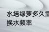 水培绿萝多久需要换一次水 水培绿萝换水频率
