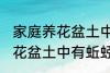 家庭养花盆土中有蚯蚓怎么办 家庭养花盆土中有蚯蚓的解决方法