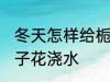 冬天怎样给栀子花浇水 冬天如何给栀子花浇水