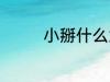 小掰什么意思 小掰的意思