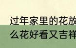 过年家里的花放什么好 过年家里放什么花好看又吉祥