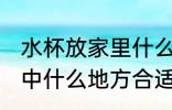 水杯放家里什么地方招财 水杯放在家中什么地方合适