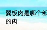 翼板肉是哪个部位 翼板肉是什么部位的肉