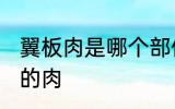 翼板肉是哪个部位 翼板肉是什么部位的肉