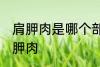 肩胛肉是哪个部位 什么位置的肉是肩胛肉