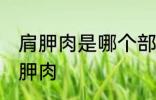肩胛肉是哪个部位 什么位置的肉是肩胛肉