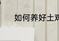 如何养好土鸡 土鸡的养殖方法