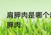 肩胛肉是哪个部位 什么位置的肉是肩胛肉