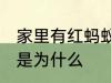 家里有红蚂蚁怎么回事 家里有红蚂蚁是为什么