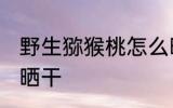 野生猕猴桃怎么晒干 野生猕猴桃如何晒干
