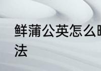 鲜蒲公英怎么晒干好 鲜蒲公英晒干方法