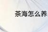 茶海怎么养 茶海的保养方法