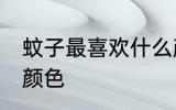 蚊子最喜欢什么颜色 蚊子最喜欢哪种颜色