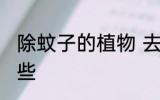 除蚊子的植物 去蚊子的植物花草有哪些
