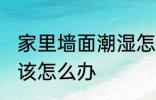 家里墙面潮湿怎么办 家里墙面潮湿应该怎么办