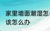 家里墙面潮湿怎么办 家里墙面潮湿应该怎么办