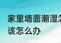 家里墙面潮湿怎么办 家里墙面潮湿应该怎么办