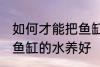 如何才能把鱼缸的水养好 怎样才能把鱼缸的水养好