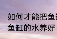 如何才能把鱼缸的水养好 怎样才能把鱼缸的水养好