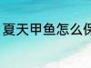 夏天甲鱼怎么保存 夏天甲鱼如何保存