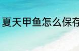 夏天甲鱼怎么保存 夏天甲鱼如何保存