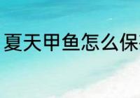 夏天甲鱼怎么保存 夏天甲鱼如何保存
