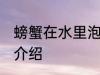 螃蟹在水里泡多长时间 泡螃蟹的时间介绍