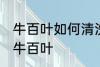 牛百叶如何清洗更干净 如何清洗干净牛百叶