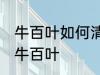 牛百叶如何清洗更干净 如何清洗干净牛百叶