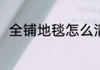 全铺地毯怎么清洗 清洗地毯的教程