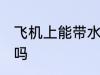 飞机上能带水杯吗 水杯可以带上飞机吗