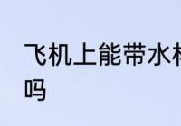 飞机上能带水杯吗 水杯可以带上飞机吗