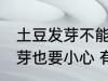 土豆发芽不能吃还有哪种蔬菜一旦发芽也要小心 有一种蔬菜发芽也不能吃