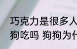 巧克力是很多人眼里的美食能喂给狗狗吃吗 狗狗为什么不能吃巧克力