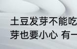 土豆发芽不能吃还有哪种蔬菜一旦发芽也要小心 有一种蔬菜发芽也不能吃