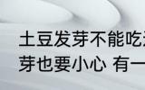 土豆发芽不能吃还有哪种蔬菜一旦发芽也要小心 有一种蔬菜发芽也不能吃